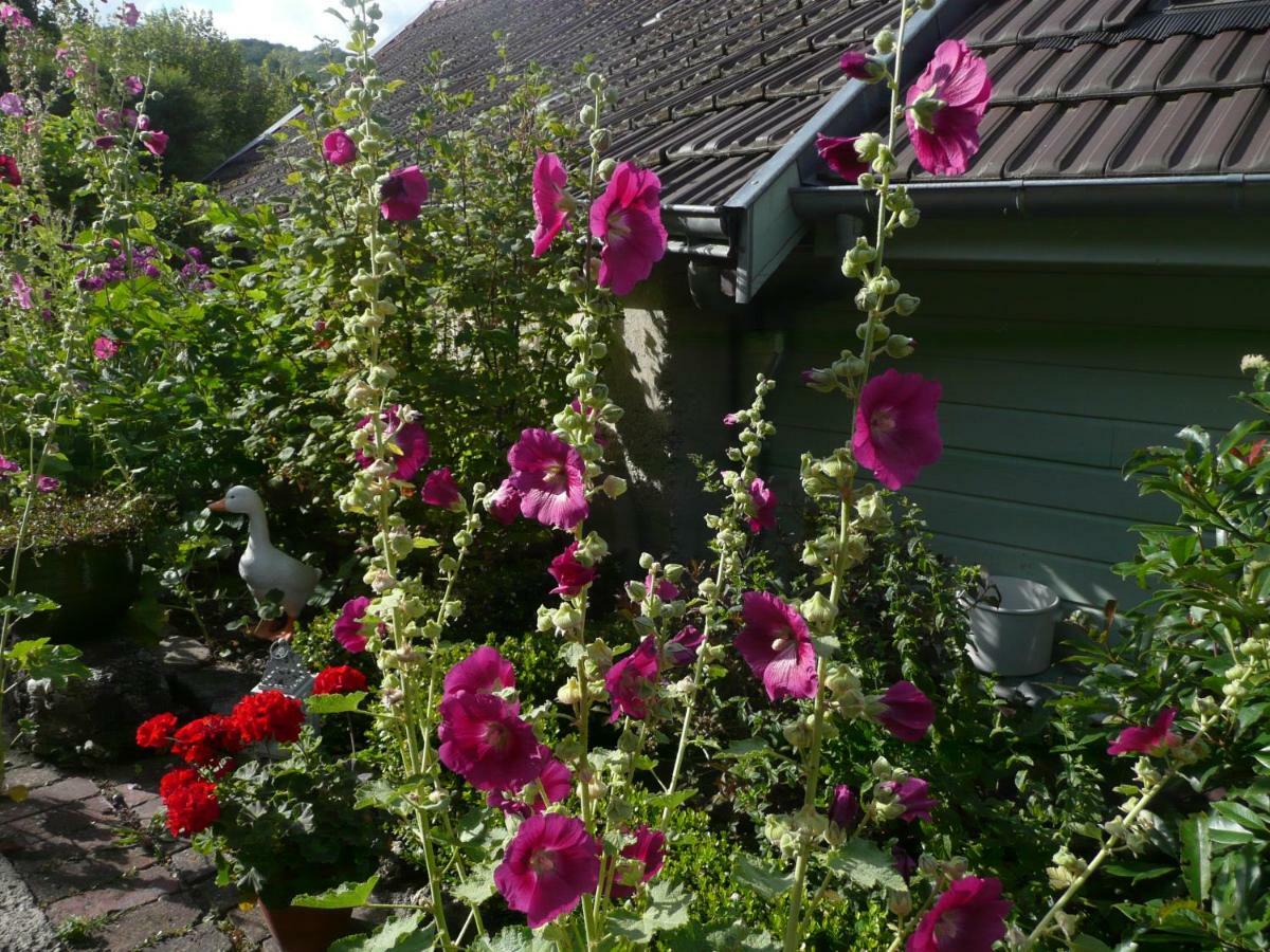 Roulotte La Dominique Bed & Breakfast Romery  Eksteriør bilde