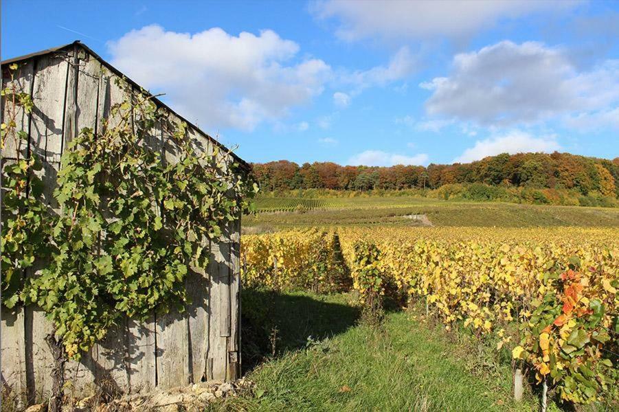 Roulotte La Dominique Bed & Breakfast Romery  Eksteriør bilde